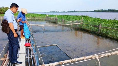 زيادة الدخل من خلال تربية الأحياء المائية.