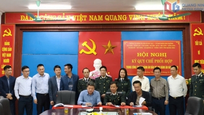 تعزيز التنسيق وتحسين فعالية إنفاذ الأحكام.