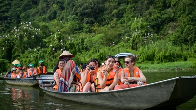 Momento encantador cuando decenas de miles de aves silvestres regresan a sus nidos en Ninh Binh.