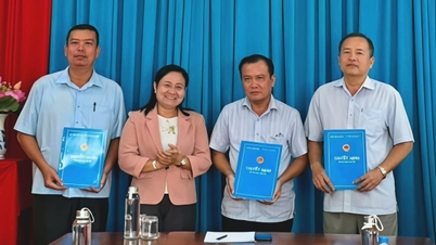 מינוי מנהיגים מרכזיים במועצת המנהלים של נמל הדיג טראן דה