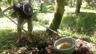 6 פתרונות לשליטה בשאריות קדמיום בקרקע