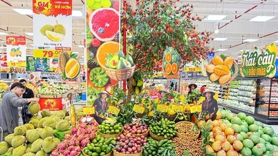 টেট (চন্দ্র নববর্ষ) এর সময় পণ্য সরবরাহ নিশ্চিত করা: