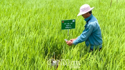 নতুন ধরণের সমবায় - একটি আদর্শ গ্রামীণ অর্থনীতির ভিত্তি।
