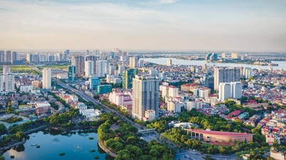 Policies befitting the capital city.