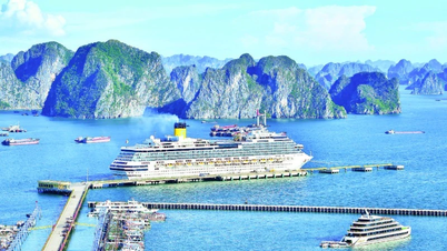 Quang Ninh: Versterking van de connectiviteit en bevordering van het toerisme.
