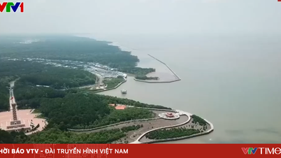 Mencipta semula semangat kepahlawanan "Kampung Hutan U Minh"