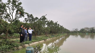 Hanoi, yoksul ve yoksulluğa yakın haneleri değerlendirme konusunda açık ve şeffaftır: