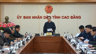 O presidente do Comitê Popular Provincial, Le Hai Hoa, declarou: "É necessário um preparo minucioso para a série de eventos que comemoram o 85º aniversário do retorno do presidente Ho Chi Minh ao Vietnã para liderar a revolução vietnamita."