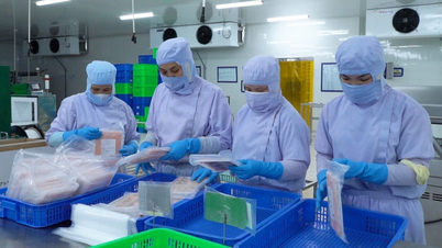 Tilapia yetiştiriciliği için yeni fırsatlar.