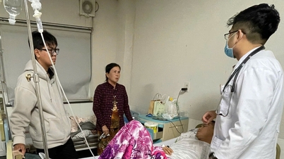 Het aantal vermoedelijke gevallen van voedselvergiftiging in Phan Thiet, veroorzaakt door het eten van brood, is gestegen tot 80 personen.