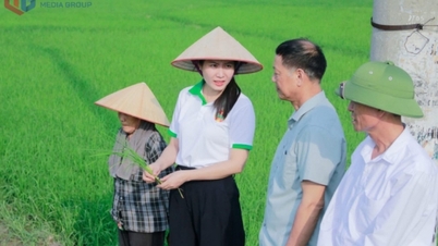 Wsparcie w rozwoju zrównoważonej produkcji