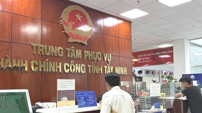 তাই নিন: প্রশাসনিক পদ্ধতি সংস্কারে অসাধারণ ফলাফল।