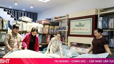 Pusat Bedding Phuong Thao menawarkan promosi besar-besaran "Beli 1 Percuma 1"!
