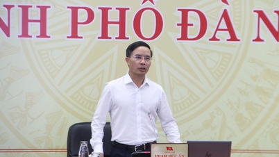 Leder av Da Nang by: Implementering av resolusjon 259 i tråd med ånden til «Quang Trung-kampanjen»