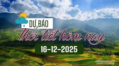 Прогноз погоди на сьогодні, 16 грудня 2025 року: Невеликий дощ у Північній та Північно-Центральній частині В'єтнаму.