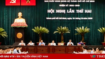 Nouveau mécanisme pour Hô Chi Minh-Ville : « opportunité en or » et pression pour agir.