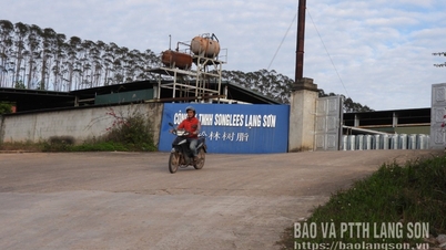 Aceleración de la limpieza de tierras para el clúster industrial de Na Duong.