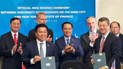 Como a cidade de Ho Chi Minh está preparando seus funcionários para trabalhar no Centro Financeiro Internacional?