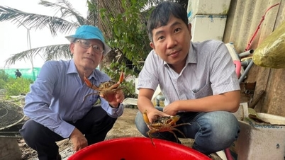Aménagement de zones d'élevage de crabes marins destinés à l'exportation officielle.