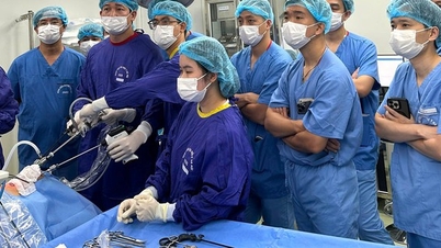 Asistan hekimler ve uzmanlık sonrası eğitimle ilgili güncel düzenlemeler.