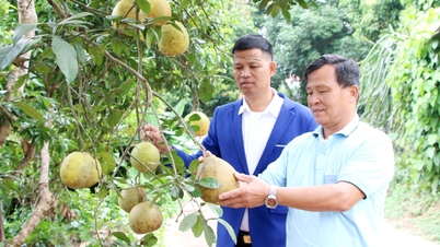 Pendapatan tinggi daripada pertanian bersepadu