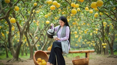 Long Nhật លាតត្រដាងអាថ៌កំបាំងដើម្បីភាពល្បីល្បាញដល់តួឯករបស់គាត់គឺតារាចម្រៀង Dương Minh Thu ។