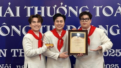 Grupul DTAP a fost premiat pentru proiectul său muzical care promovează imaginea Vietnamului.