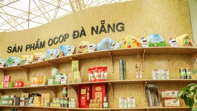 स्थानीय संसाधनों से निर्मित OCOP उत्पाद: मूल्यवर्धन, बाजारों का विस्तार।