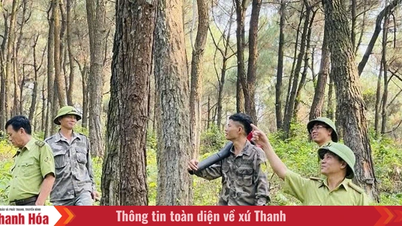 বন সুরক্ষা এবং টেকসই উন্নয়নের কার্যকারিতা বৃদ্ধির জন্য সচেতনতা বৃদ্ধি করা।