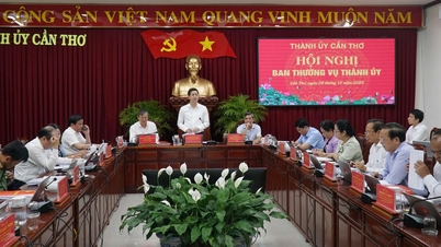 Can Tho City: Att omsätta partiets resolutioner i praktiken.