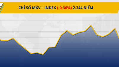 MXV-indexet föll till sin lägsta nivå på nästan en månad.