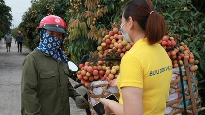 Samenvatting van persberichten uit de postsector op 15 december 2025