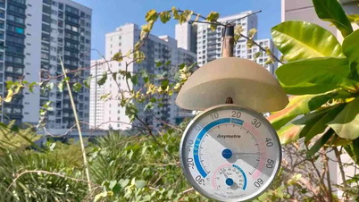 O sul do Vietnã terá sol forte no dia 16 de dezembro.