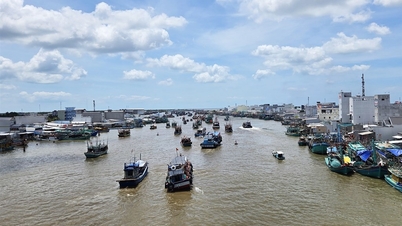 O Conselho Popular Provincial de Ca Mau aprovou o Plano de Desenvolvimento Socioeconômico para 2026.
