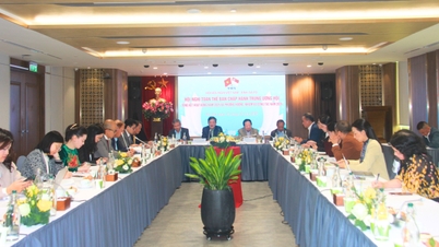 Associação de Amizade Vietnã-Singapura: Focando no networking empresarial e na inovação como o núcleo de suas atividades em 2026.