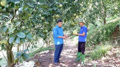 Când tinerii se întorc la agricultură