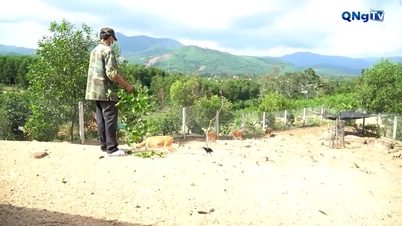 Pengurangan kemiskinan terkait dengan pembangunan berkelanjutan.
