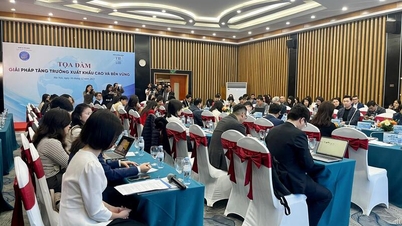 Sectorul de import și export din Vietnam este în pragul unei transformări strategice.
