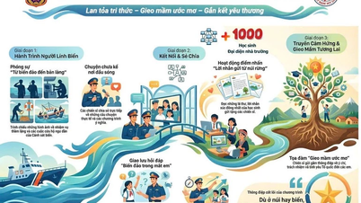 „1.000 de litere peste valuri” - un pod digital care leagă frontul de acasă cu insulele.