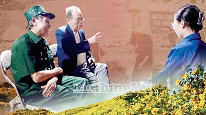 Continuarea poveștii „Timpul focului și al florilor”