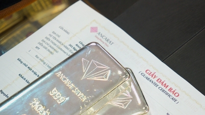 Prețul argintului astăzi, 16 decembrie 2025: Prețurile cresc vertiginos, stabilind un nou record.