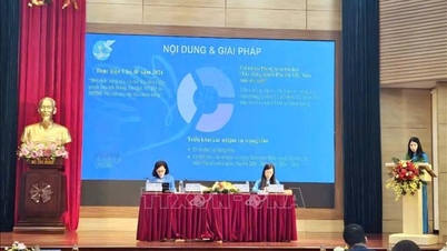 عشرة أنشطة متميزة للجمعيات النسائية على جميع المستويات في عام 2025