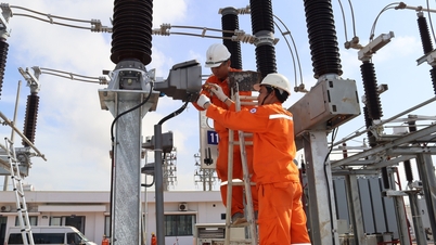 ខ្សែបណ្តាញអគ្គិសនី 110kV ដែលបម្រើដល់អាកាសយានដ្ឋាន Long Thanh ត្រូវបានផ្គត់ផ្គង់ថាមពលរួចរាល់ហើយ។