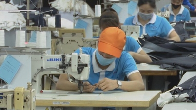 Towards a living wage for workers.