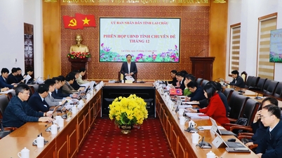 Specialized meeting of the Provincial People's Committee in December 2025: Reviewing many important issues regarding local policies and development.