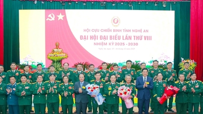 এনঘে আন ভেটেরান্স অ্যাসোসিয়েশনের ৮ম প্রাদেশিক কংগ্রেসের গম্ভীর আয়োজন করেছিলেন।