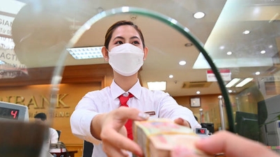 Как будут распределяться премии, выплачиваемые в честь праздника Тет чиновникам, государственным служащим и работникам государственных учреждений в 2026 году, согласно Указу № 73?