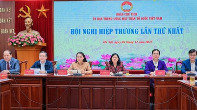 Práva a povinnosti Vietnamské vlasti v rámci volební práce.