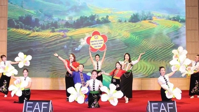Lao Cai: 25 Jahre Verbreitung der Bewegung „Alle Menschen vereinen sich, um eine kultivierte Lebensweise aufzubauen“