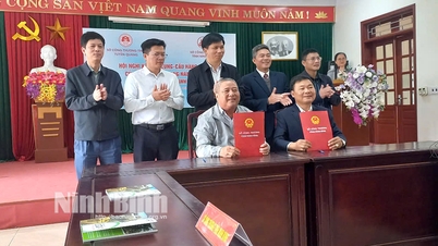 Konference o propojení nabídky a poptávky po zboží mezi provinciemi Ninh Binh a Tuyen Quang v roce 2025
